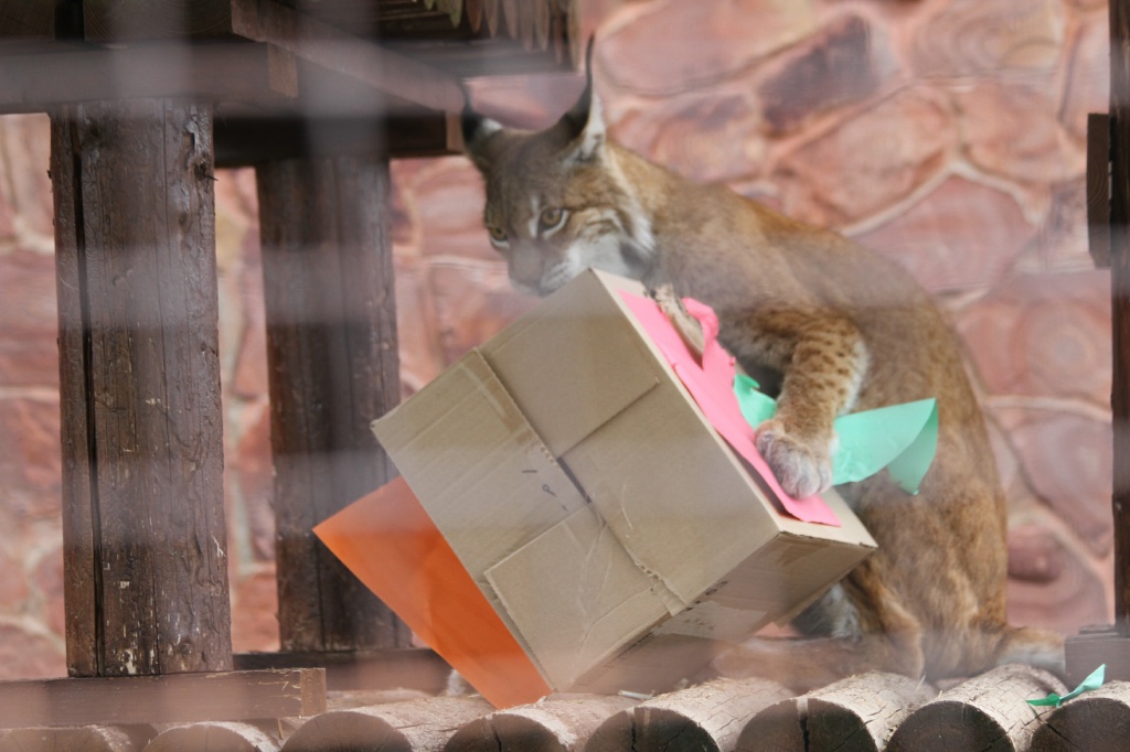 ������� ��������CAMC2814.jpg